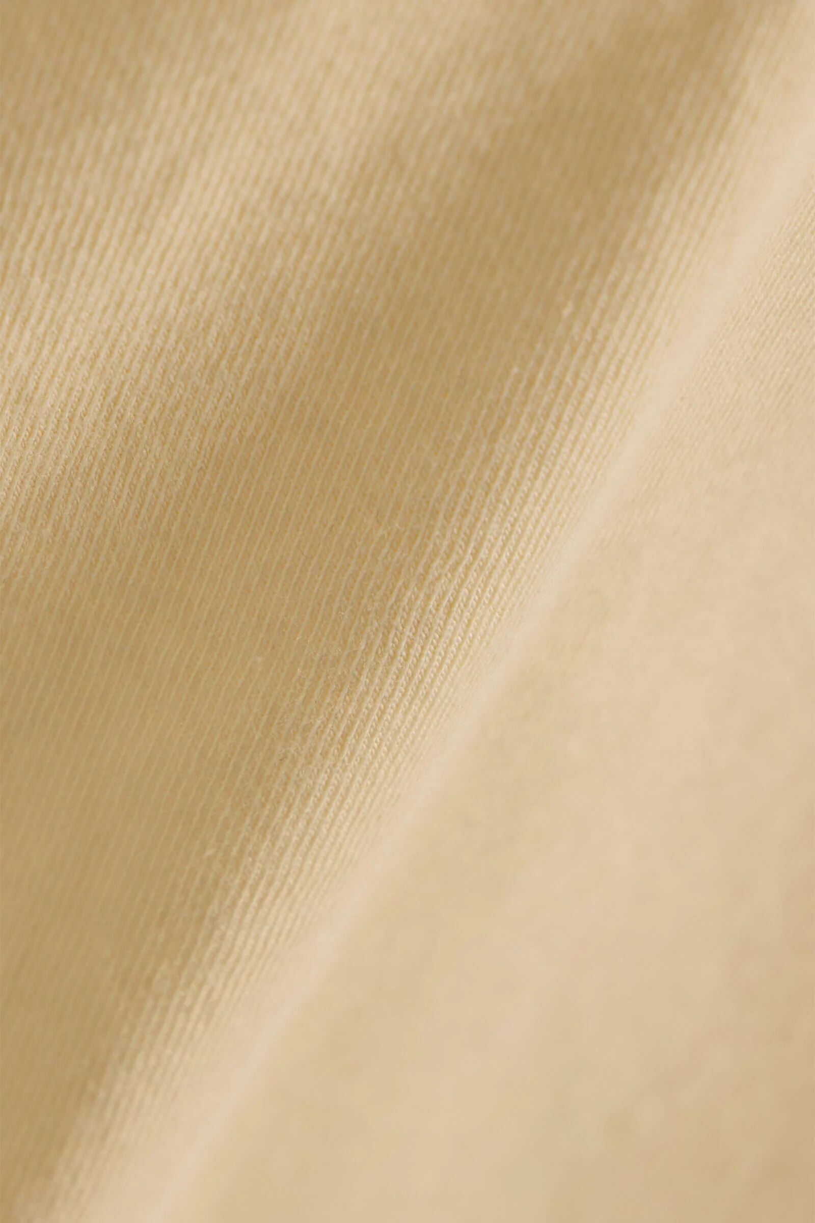 The Margo - Image 6